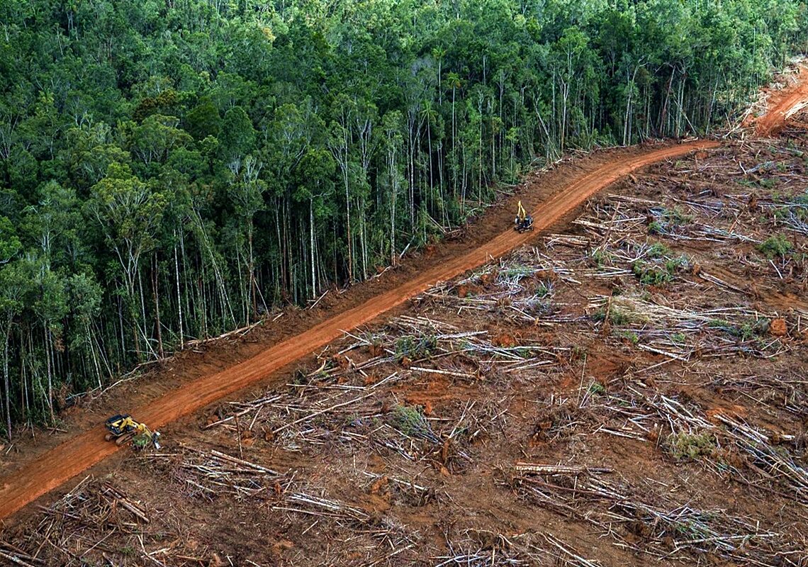 Deforestación amazónica: menos del 10% de las emisiones perdidas compensadas
