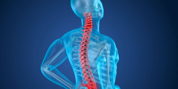 A Yale team repairs the spinal cord with patient stem cells