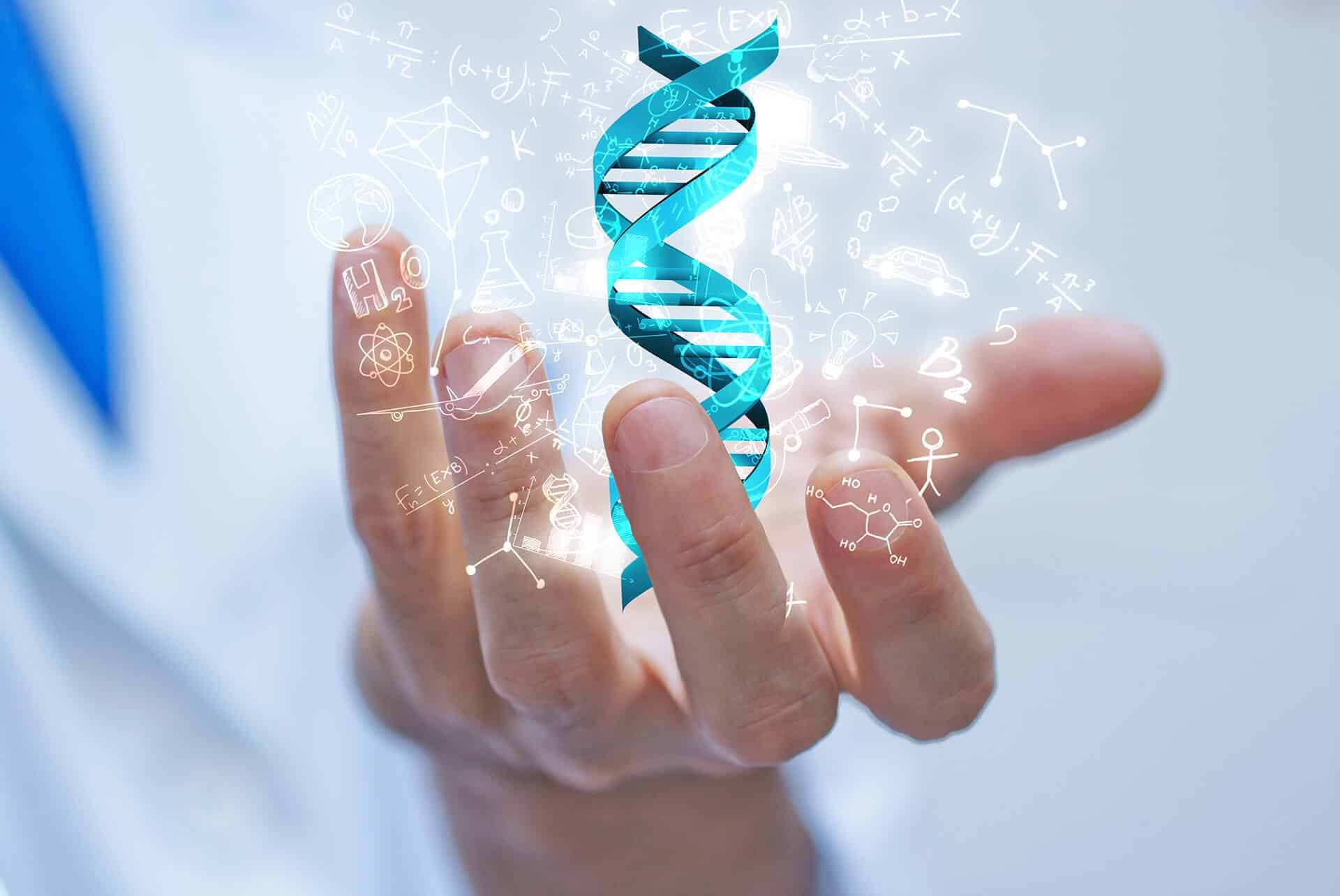 Human genome: 1 million sequences will open the doors of genetics