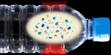 Pfas, uno studio rivela che molte cannucce di carta li contengono