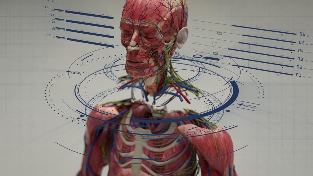 digital illustration brainbridgehead transplant