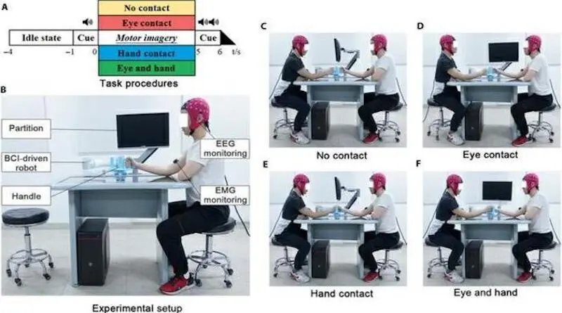 Interfaccia neurale 