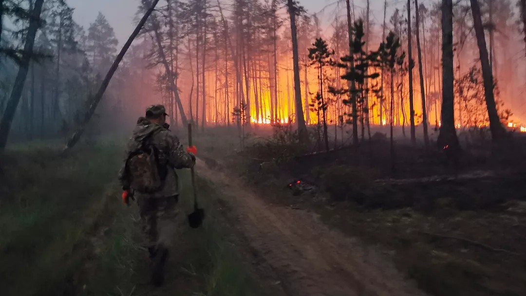 L’Artico è in fiamme: il cambiamento climatico alimenta incendi enormi