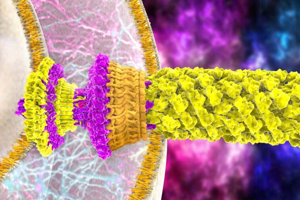 Microrobot