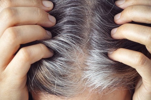 Addio capelli grigi? Nuovo studio, la luteolina può scongiurarli